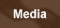 GFM Media